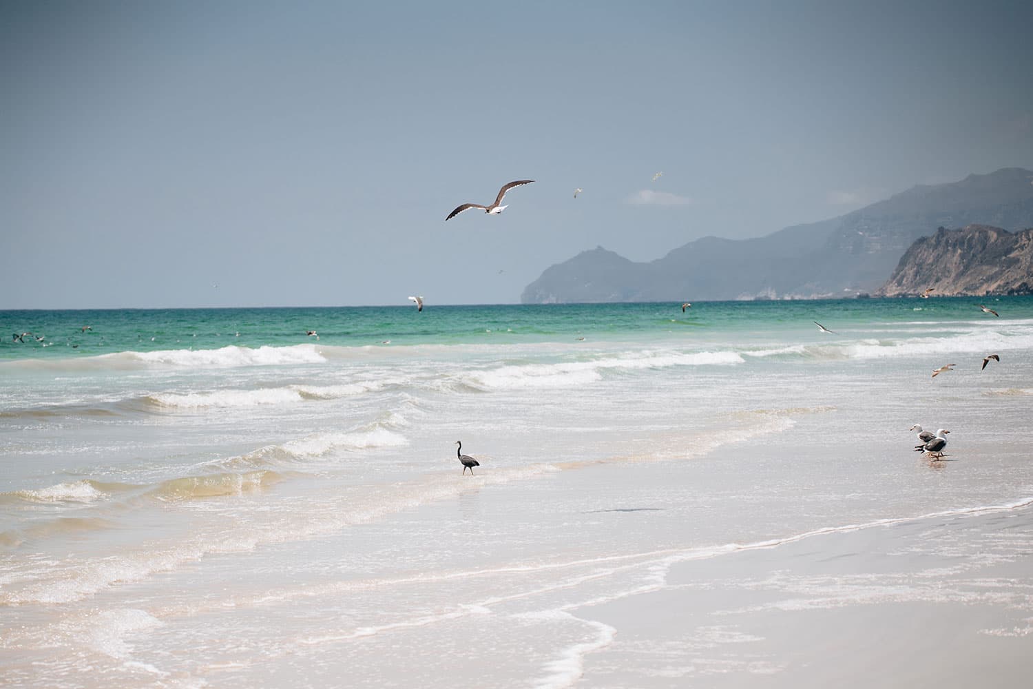 Al Fazayah Beach - 4