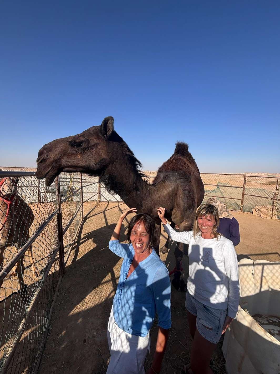 Beach Camel Ride in Salalah – Private Guided Experience