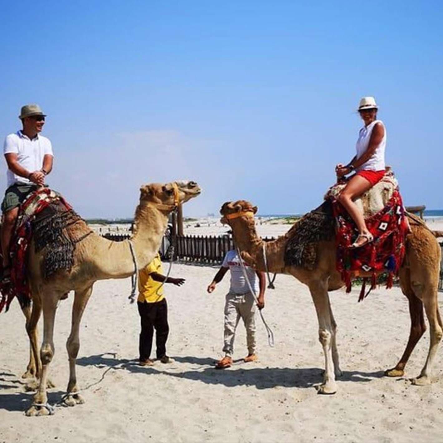 Beach Camel Ride in Salalah – Private Guided Experience - 4