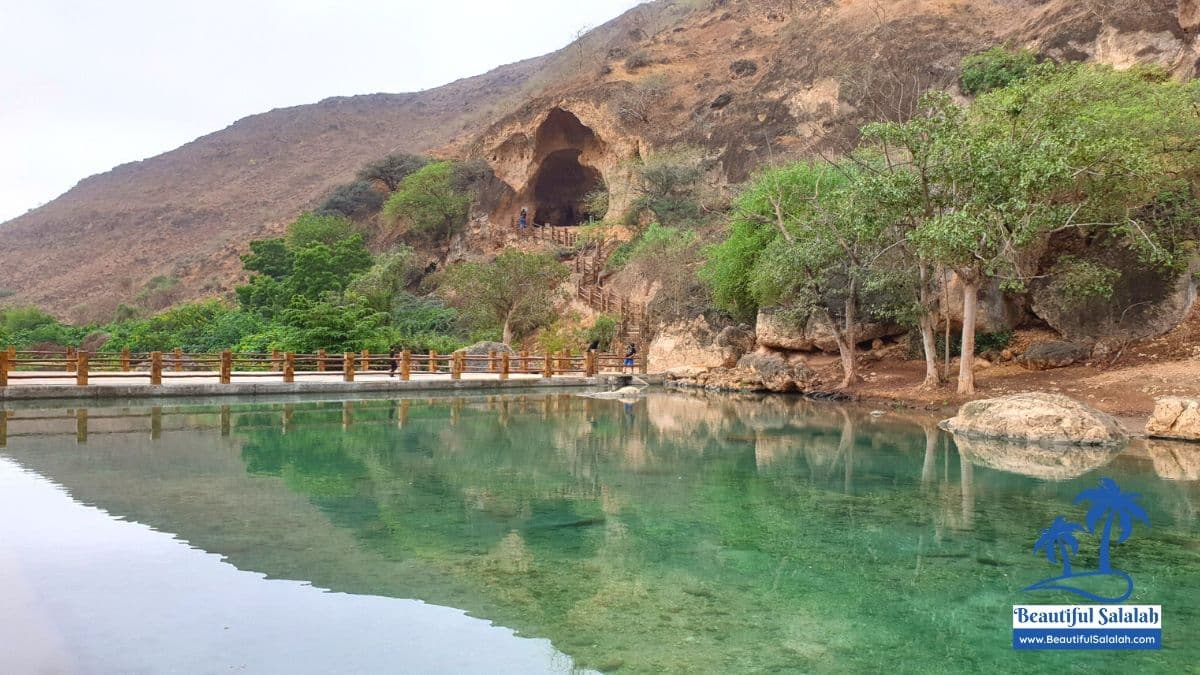 Khareef Waterfall and Spring Tour - 5