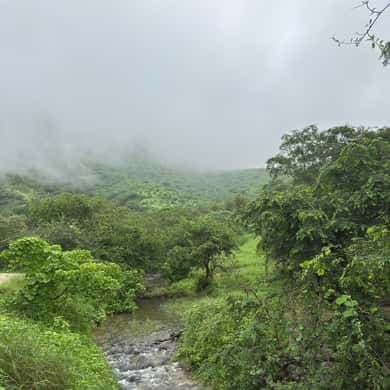 Dhofar Mountains Waterfall Trek with Meal – Salalah - 5