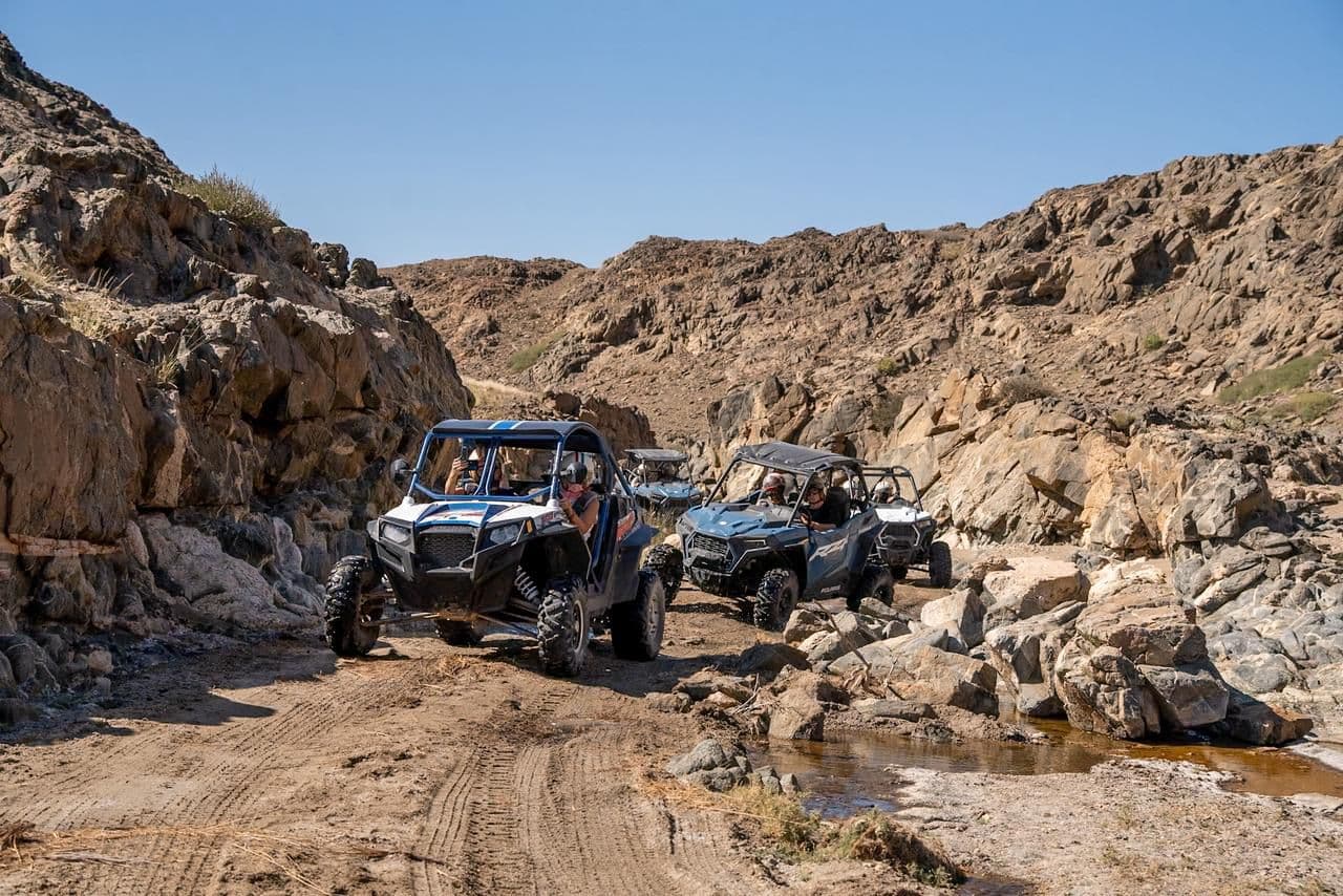 Oman Buggy Discovery: Dunes, Beaches & BBQ Adventure