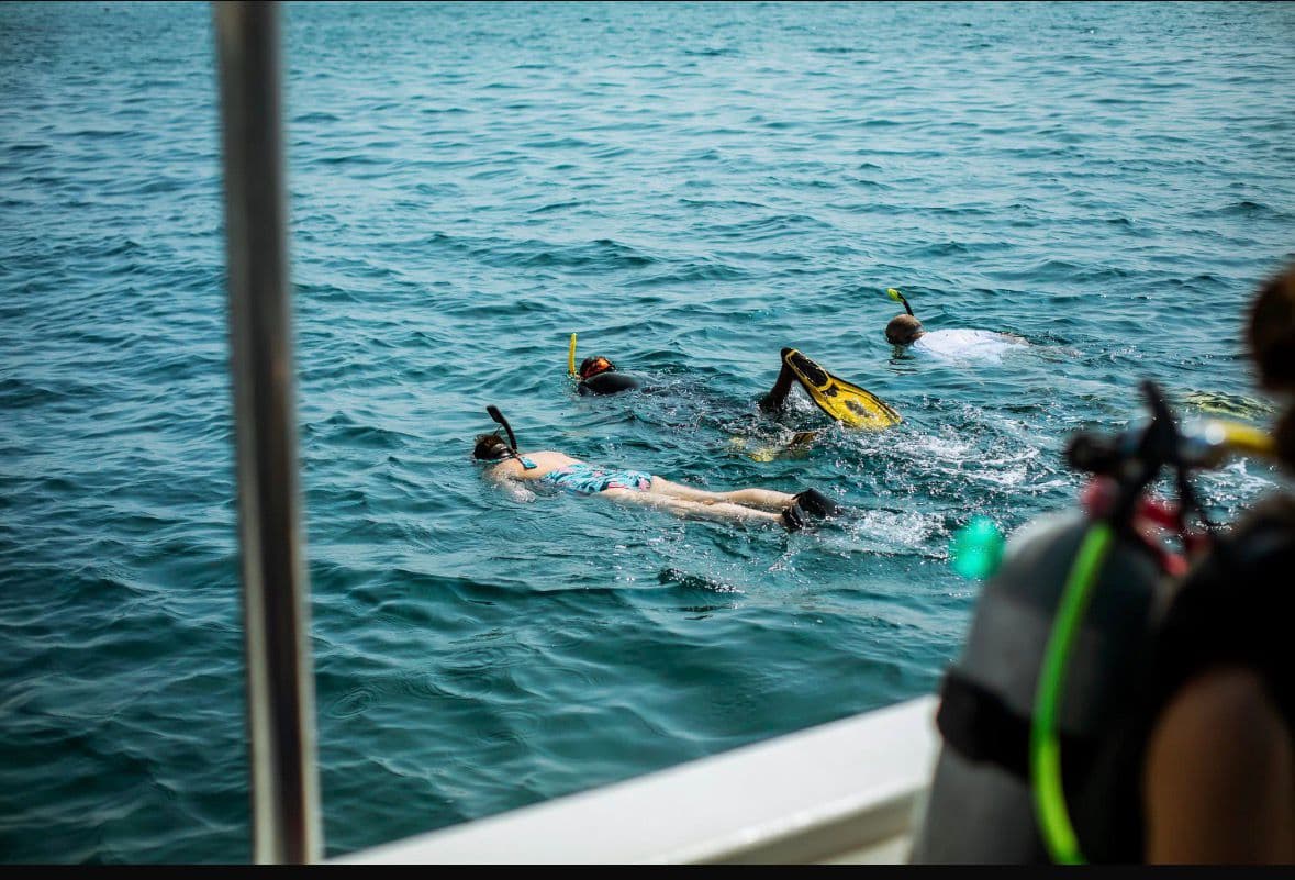 Snorkeling Adventure in Salalah's Underwater Paradise - 4