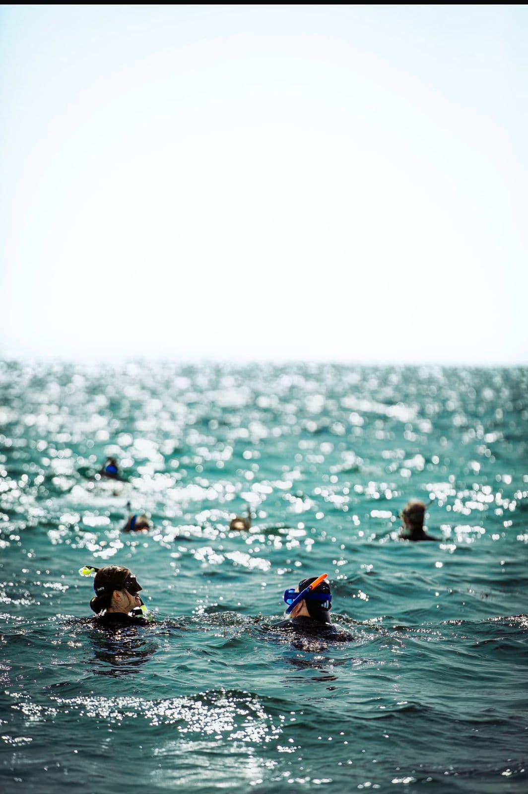 Snorkeling Adventure in Salalah's Underwater Paradise - 3