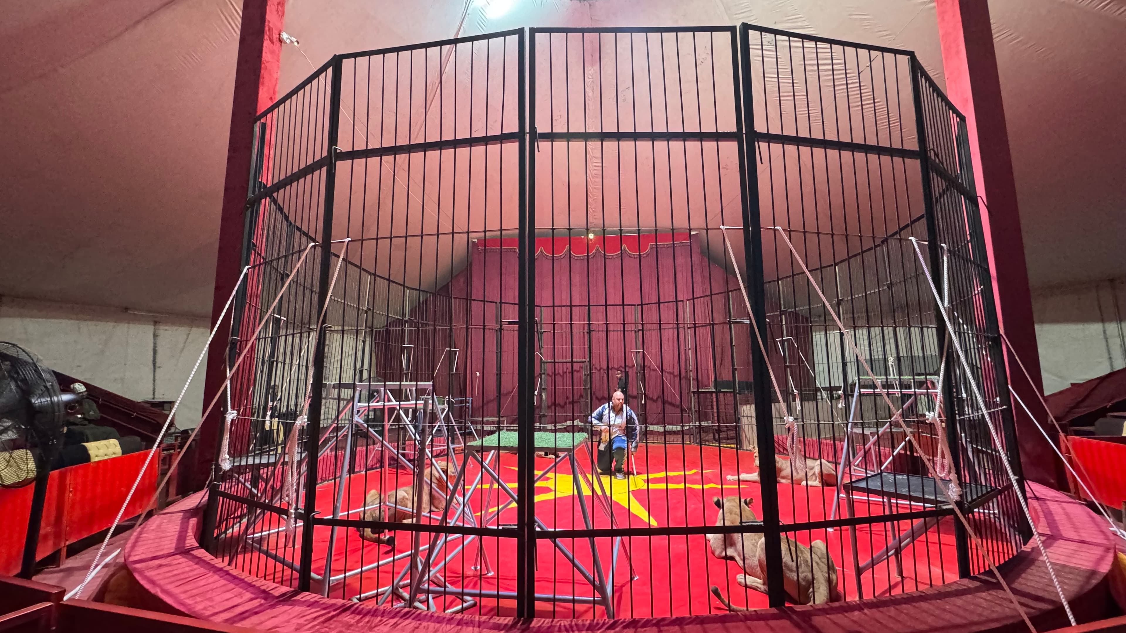 The Egyptian Circus for Predatory Animals - 2