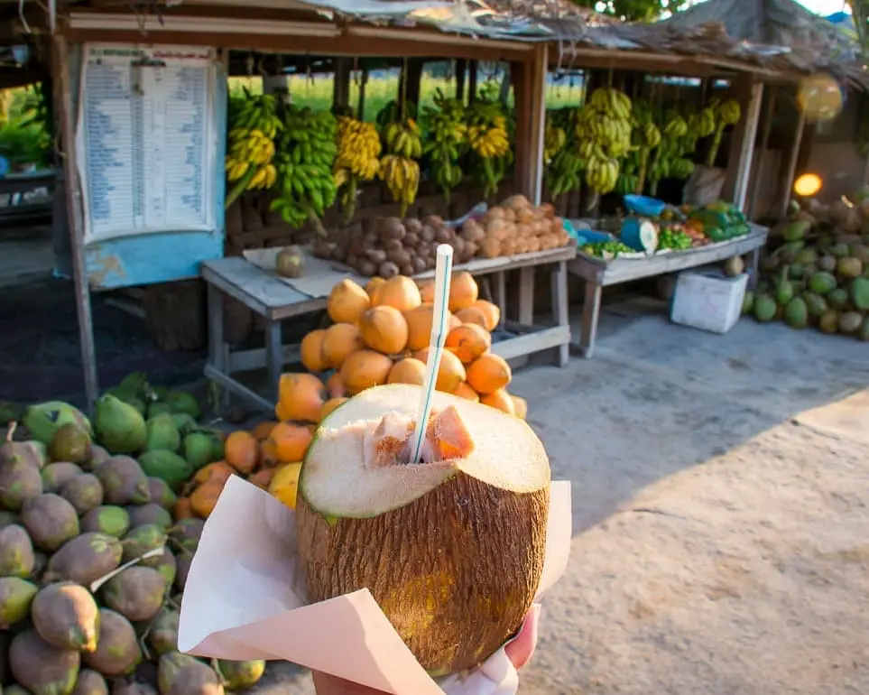 Half-Day Traditional Salalah City Tour