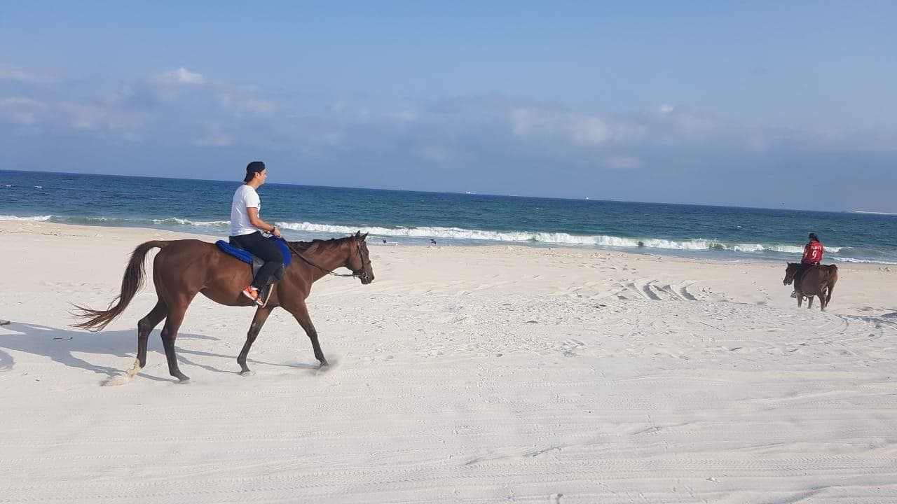 Sunset Horse Riding on Salalah Beach - 5