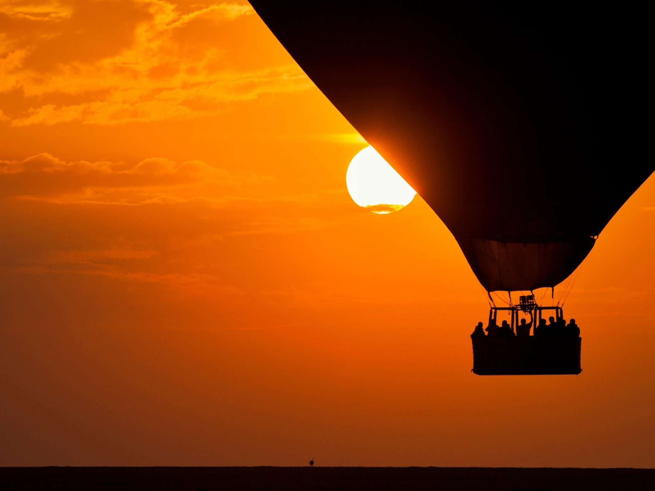 Hot Air Balloon Over Wahiba Sands – Sunrise Desert Adventure - 3
