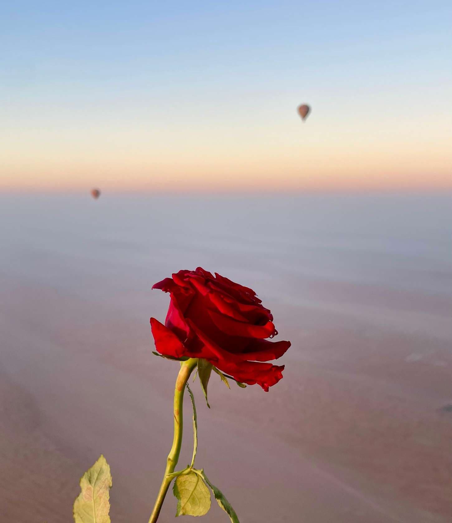 Hot Air Balloon Over Wahiba Sands – Sunrise Desert Adventure - 5