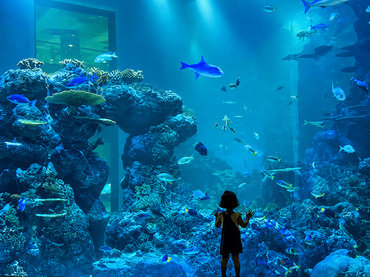 Oman Aquarium
