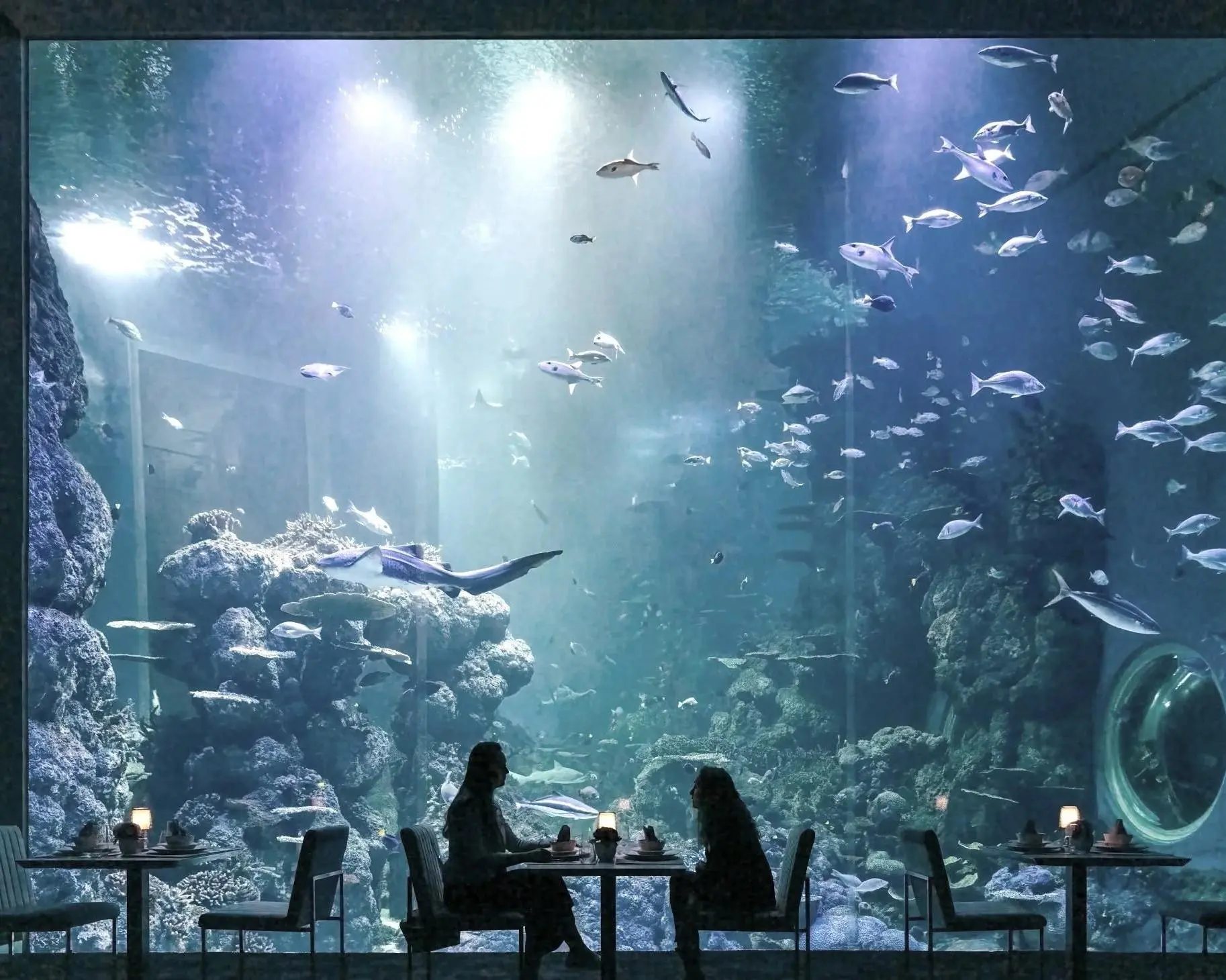 Oman Aquarium - 4