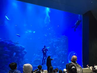 Oman Aquarium - 5