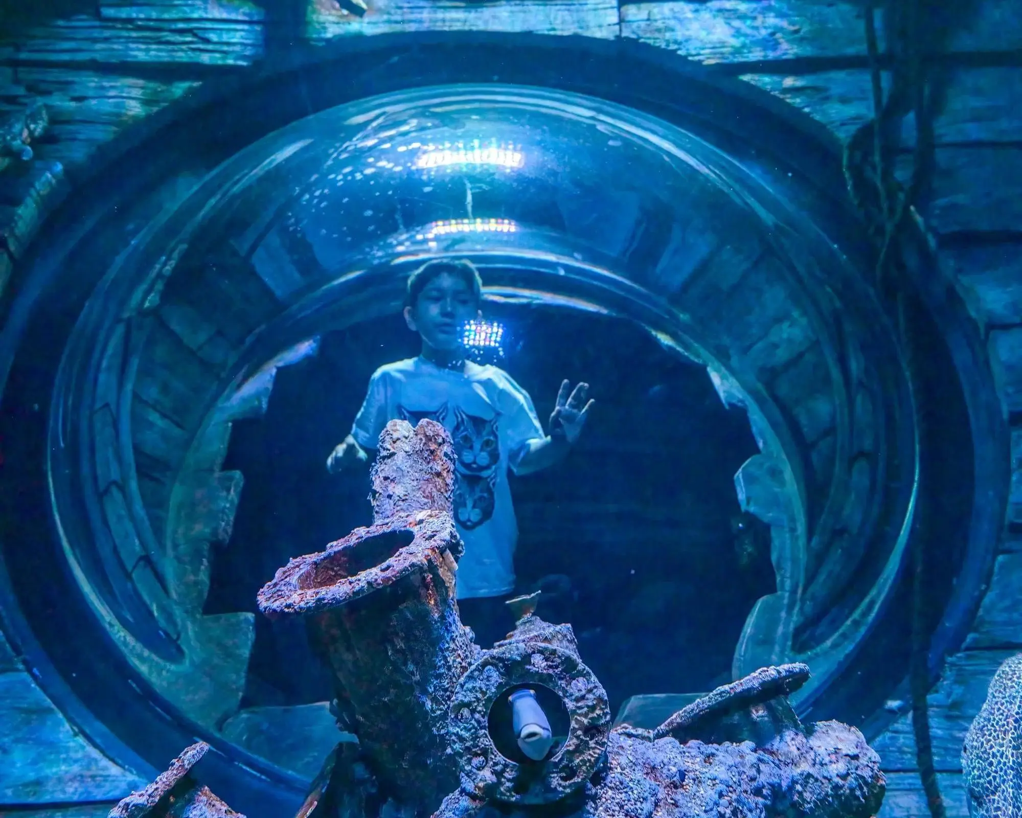 Oman Aquarium - 3