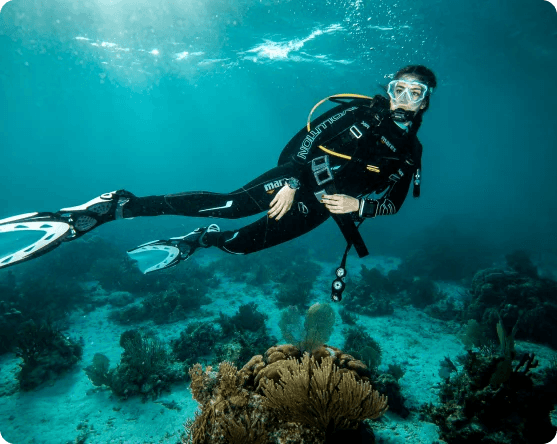 Guided Fun Dives in Musandam – 2 or 3 Tank Boat Trip