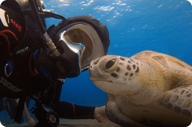 Guided Fun Dives in Musandam – 2 or 3 Tank Boat Trip - 2