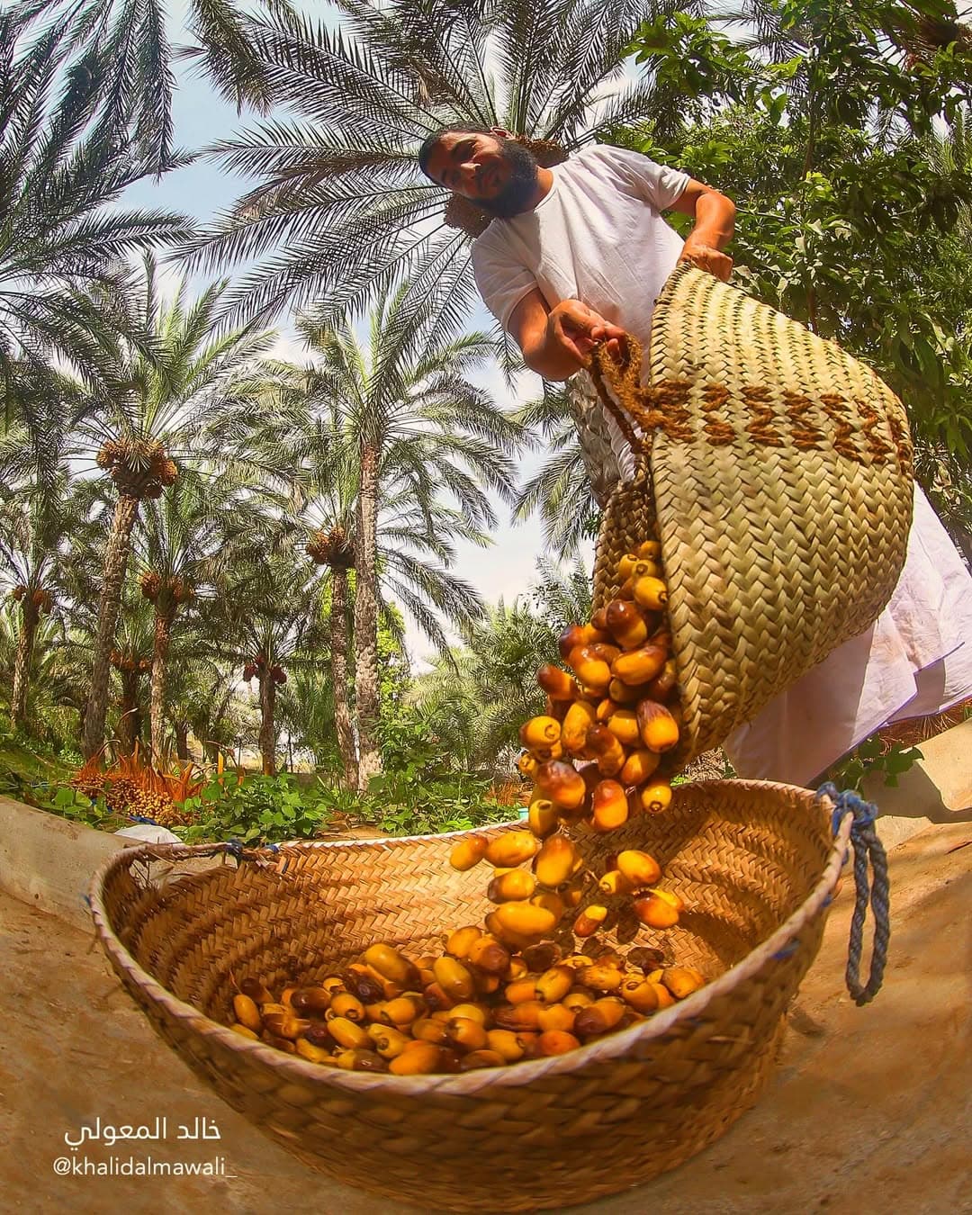 Fanja Village, Souq & Wadi Tayeen – Private Full Day from Muscat