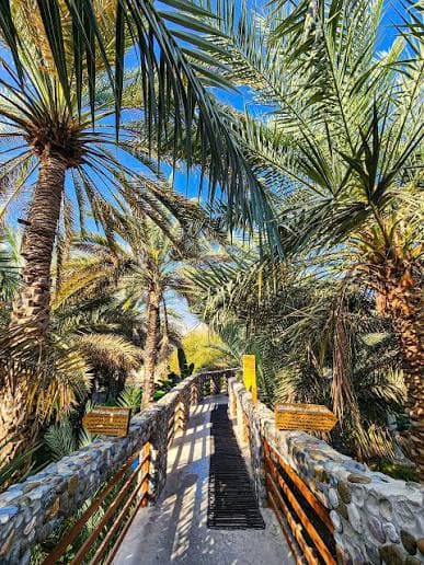 Fanja Village, Souq & Wadi Tayeen – Private Full Day from Muscat - 2