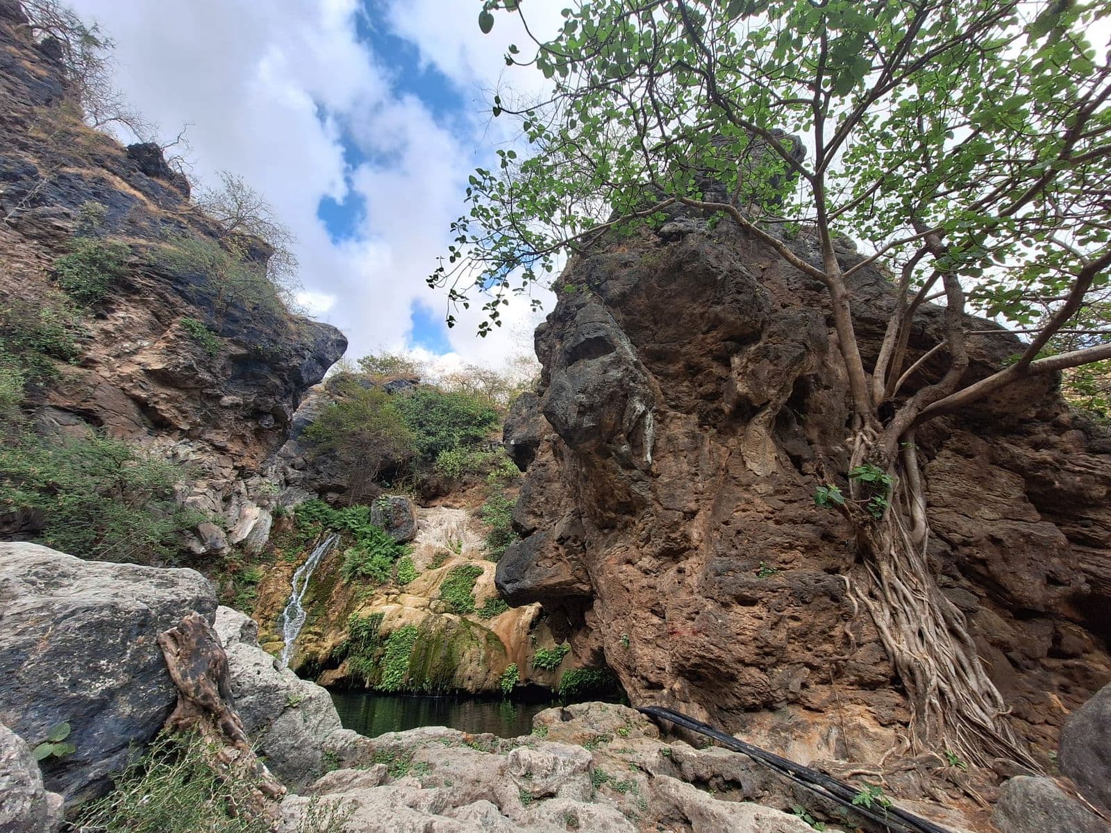 Discover Dhofar's Hidden Waterfall: Trekking Adventure - 4