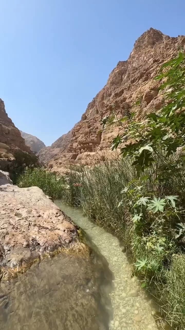 Wadi Shab Adventure