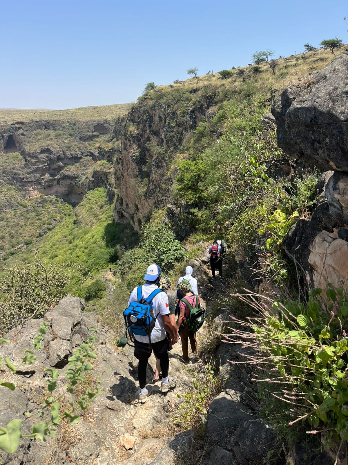 Trek to Tayq Cave: Salalah's Hidden Wonder - 5