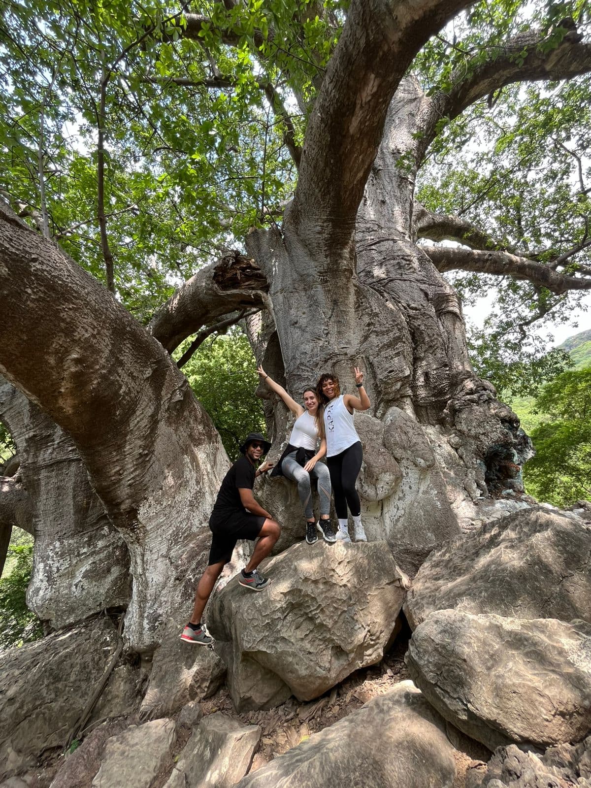 Trek to Tayq Cave: Salalah's Hidden Wonder - 2
