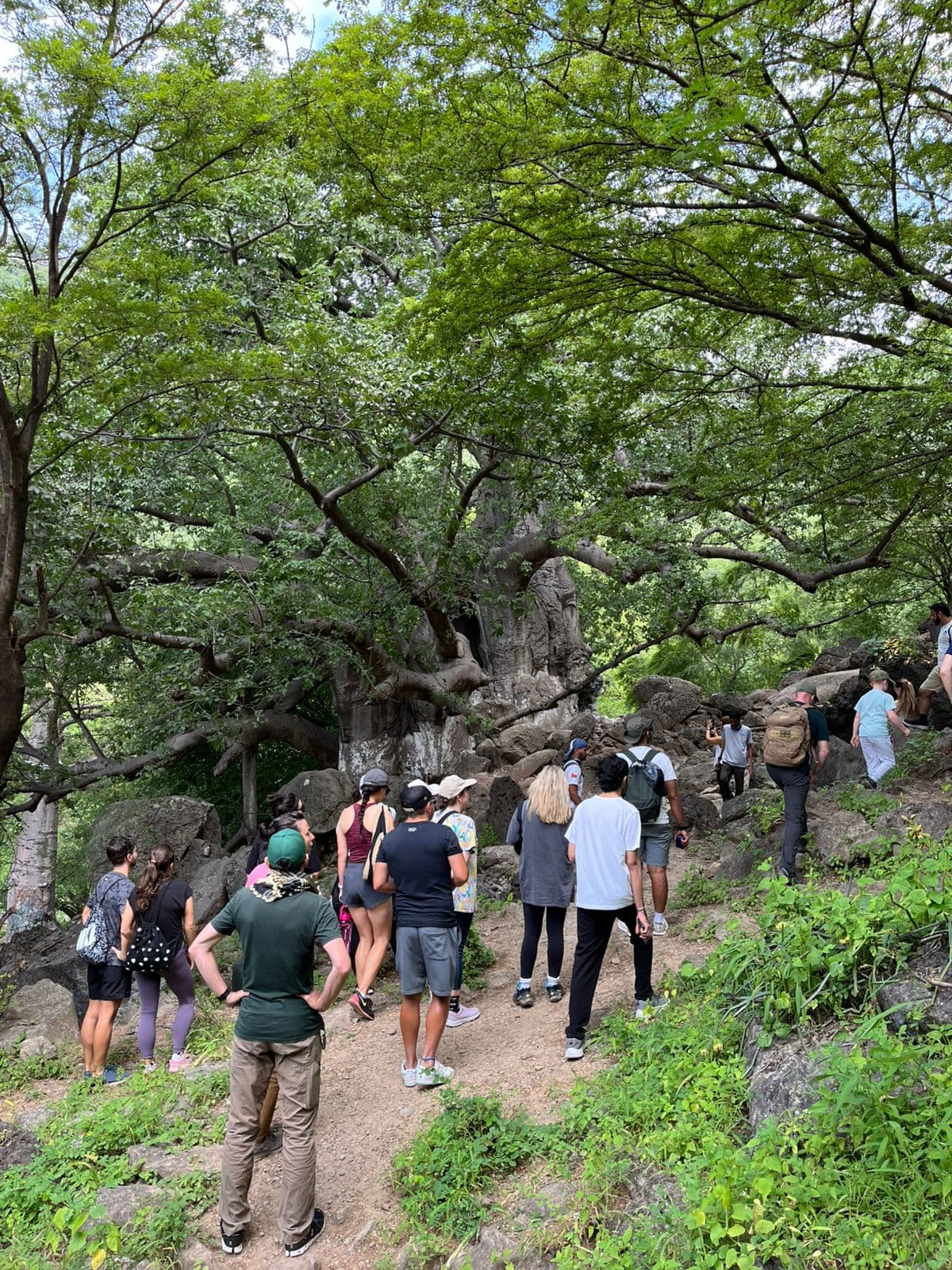 Trek to Tayq Cave: Salalah's Hidden Wonder - 3
