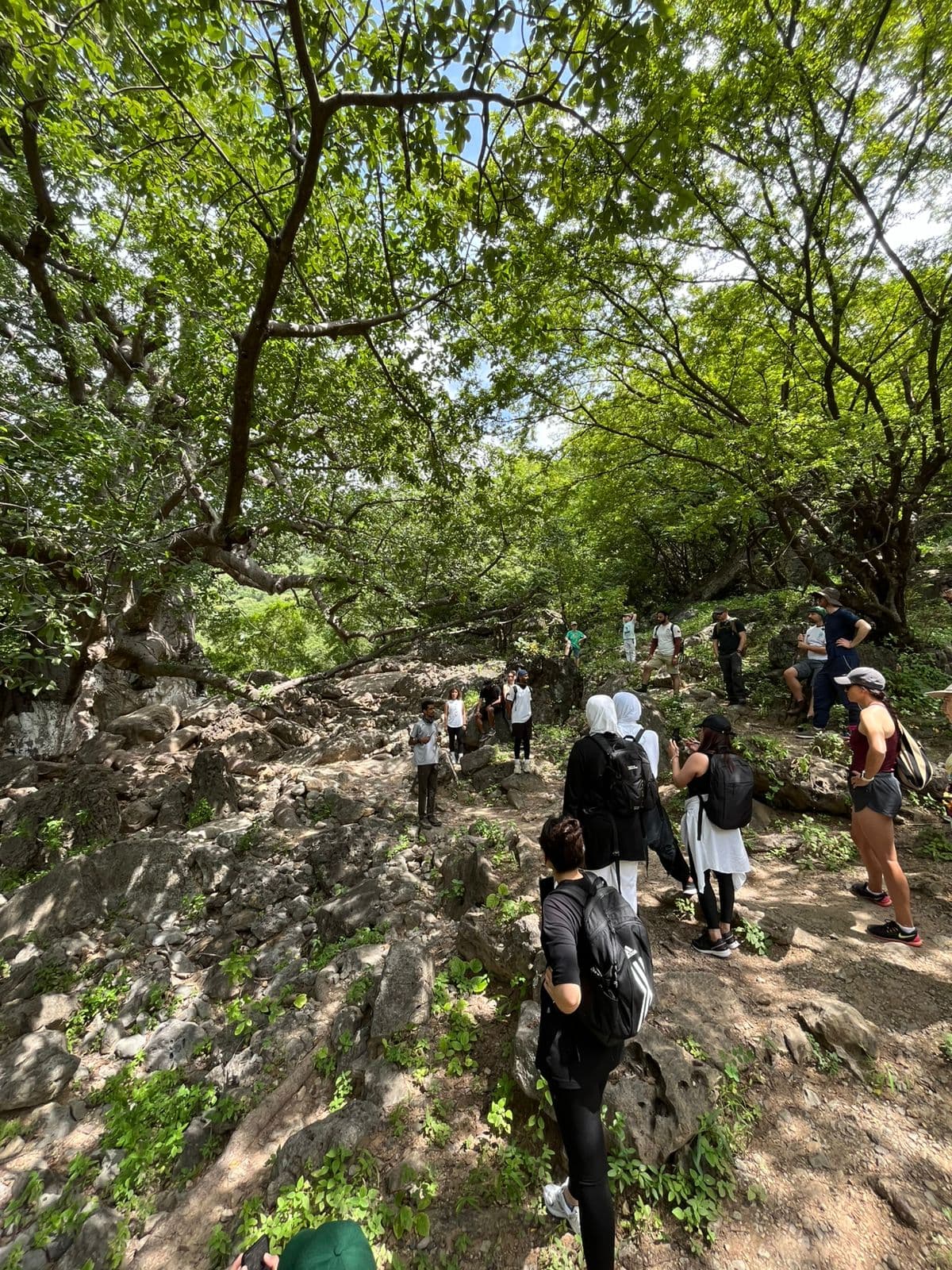 Trek to Tayq Cave: Salalah's Hidden Wonder