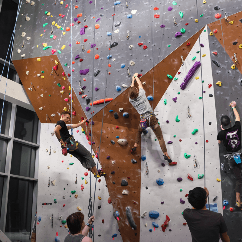 Climbing Wall - 2