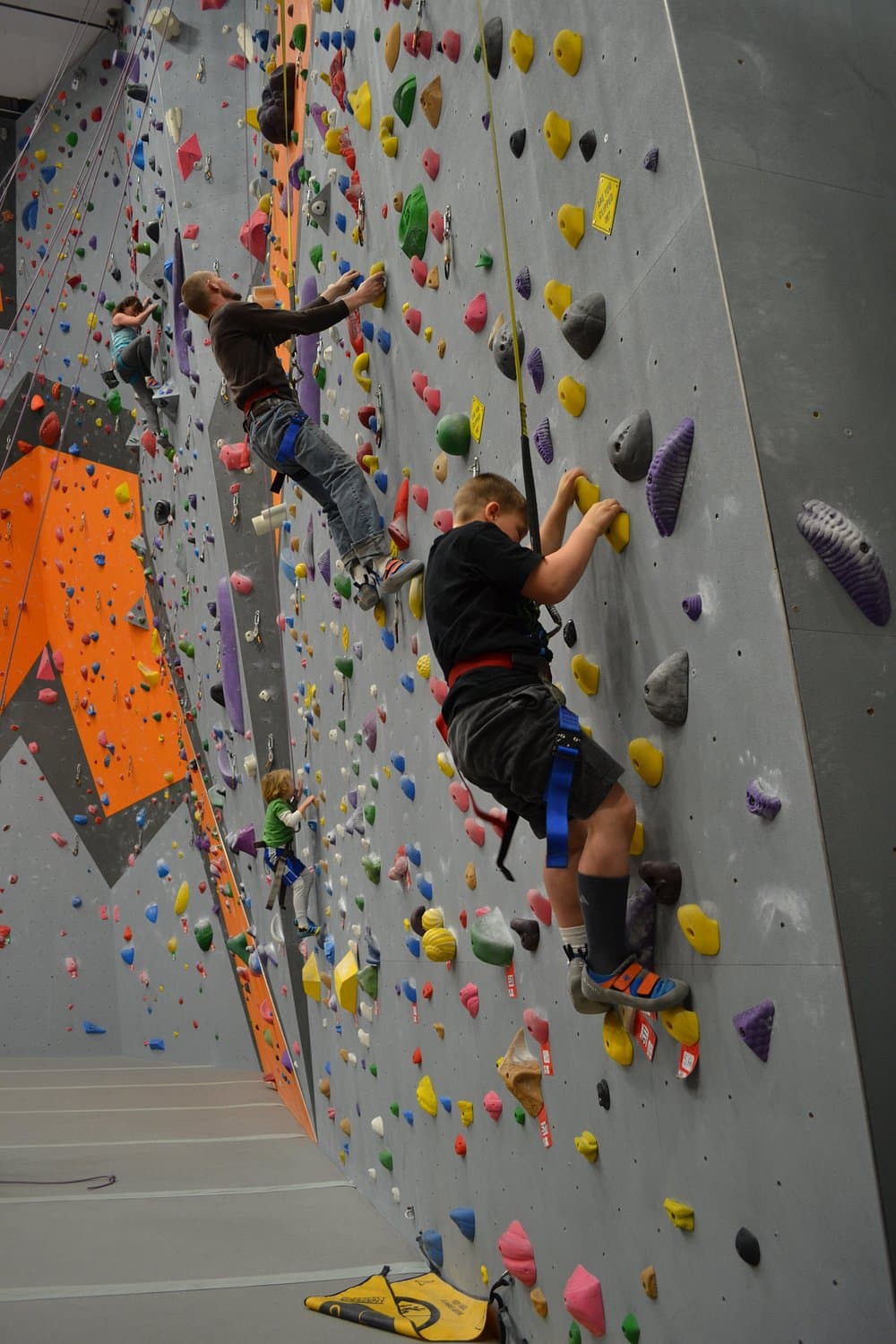Climbing Wall - 5