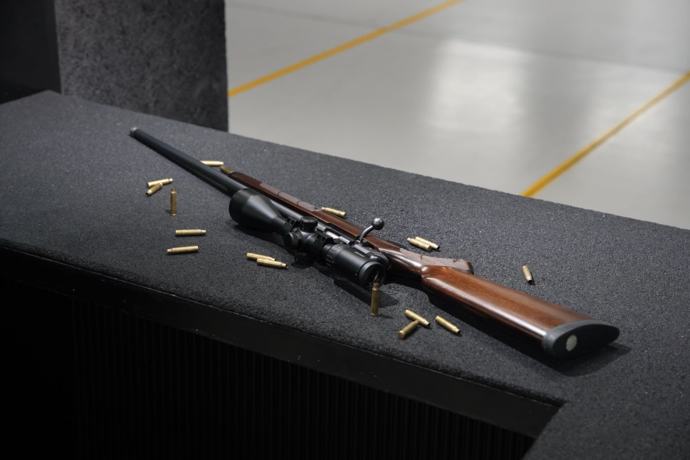 Sharpshooting Experience: .22LR Rifle at 100m Range - 2