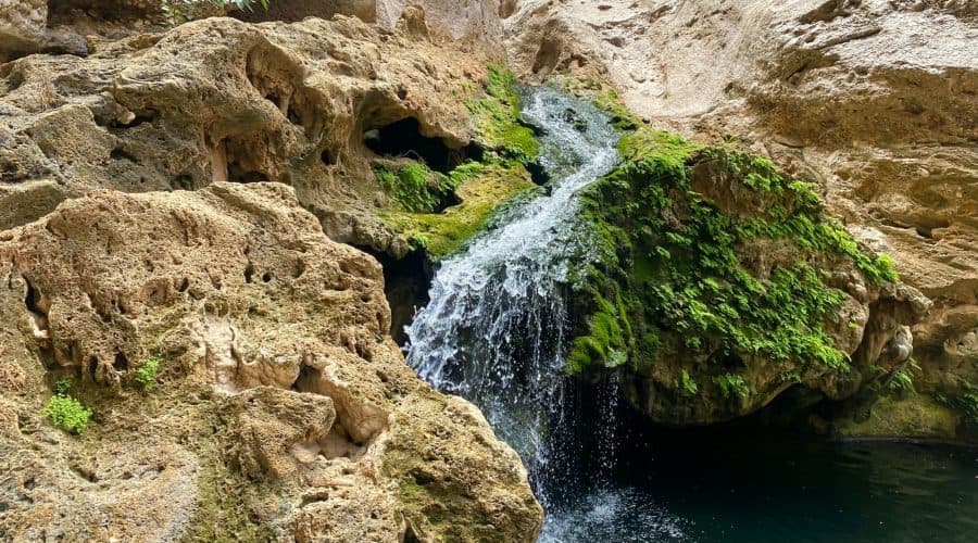 Wadi Hatt - 2