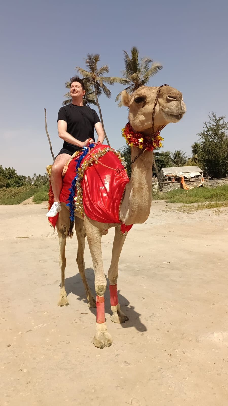 Salalah Beach Camel Ride: Experience Oman's Ancient Tradition - 2
