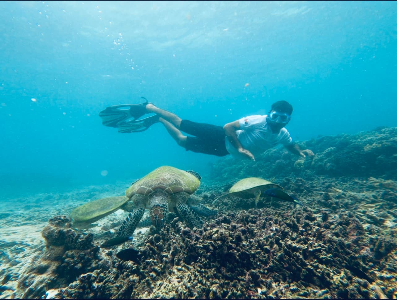 Dimaniyat Snorkeling trip - 3