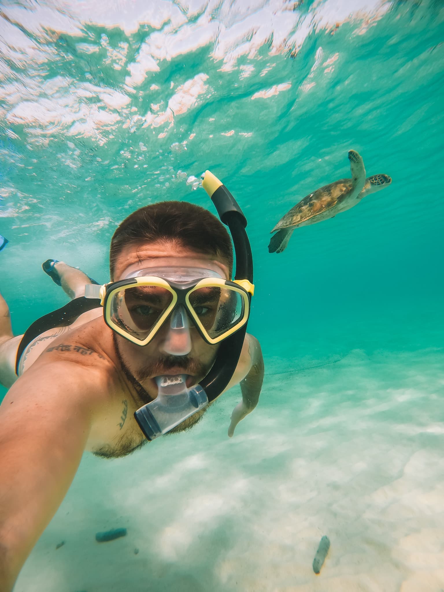 Dimaniyat Snorkeling trip - 4