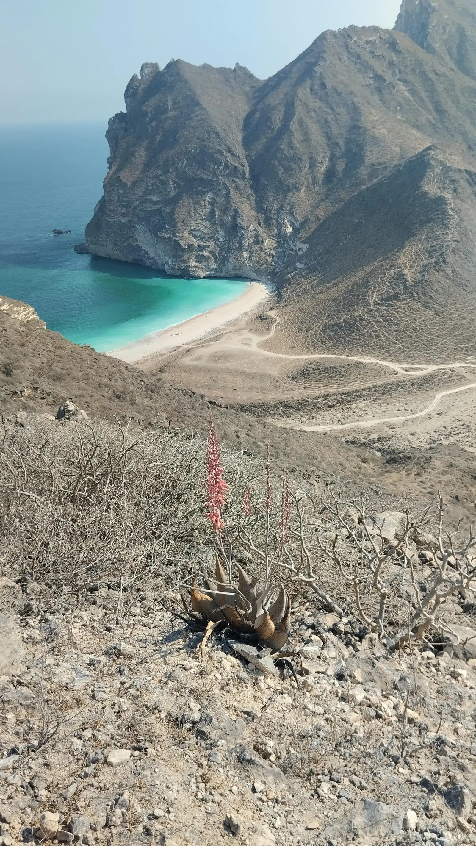 Salalah Secret Beach and visit Sultan Qaboos Mosque