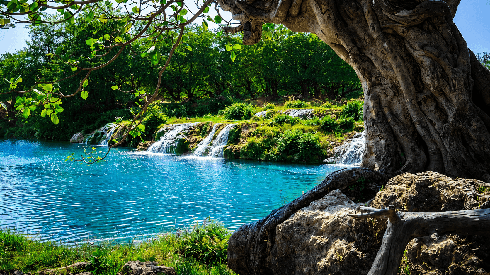 Weekly Excursion every Saturday in Salalah
