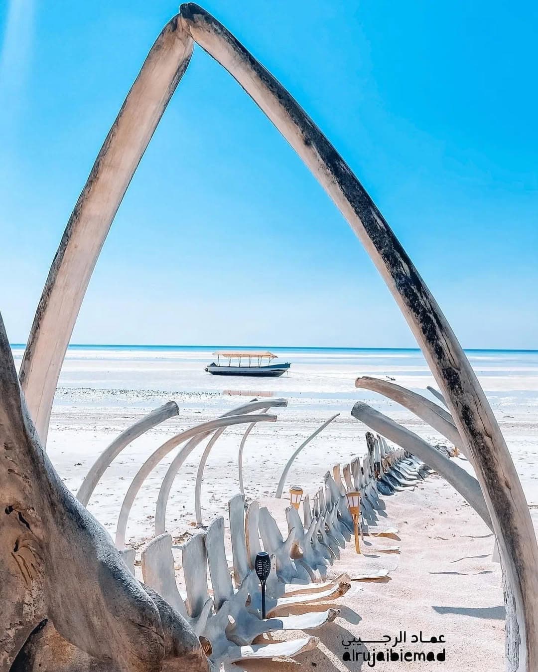 Ultimate Summer Road Trip To Barr Al Hikman