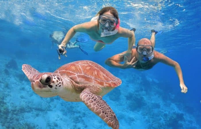 Daymaniyat Islands Snorkeling Adventure: Swim with Turtles & Whale Sharks! - 2