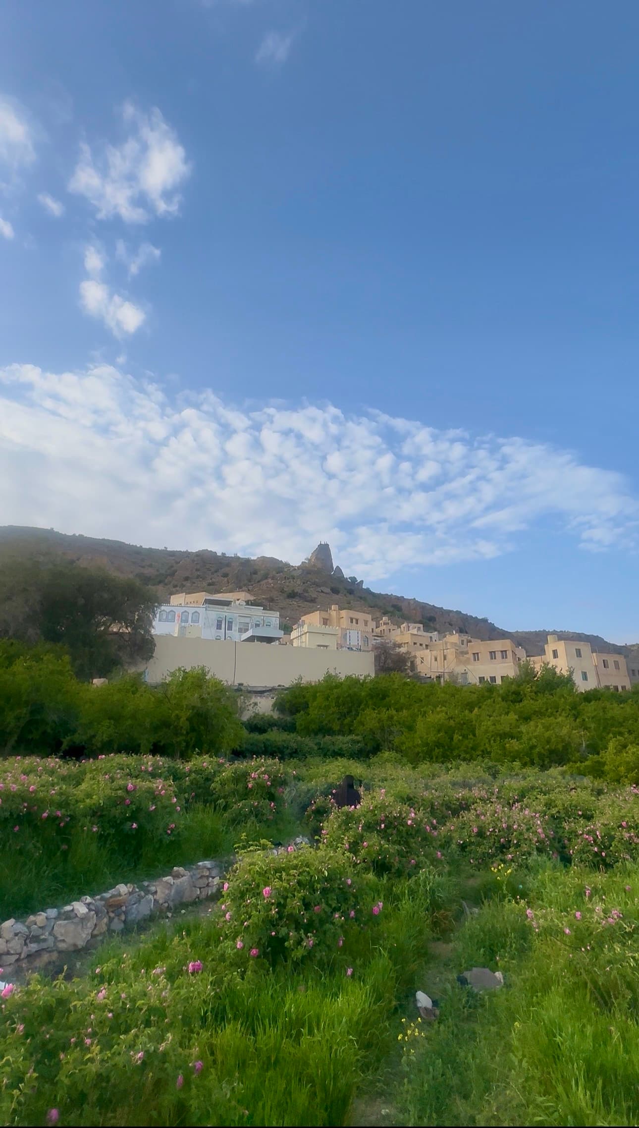 3 Villages walk - 2