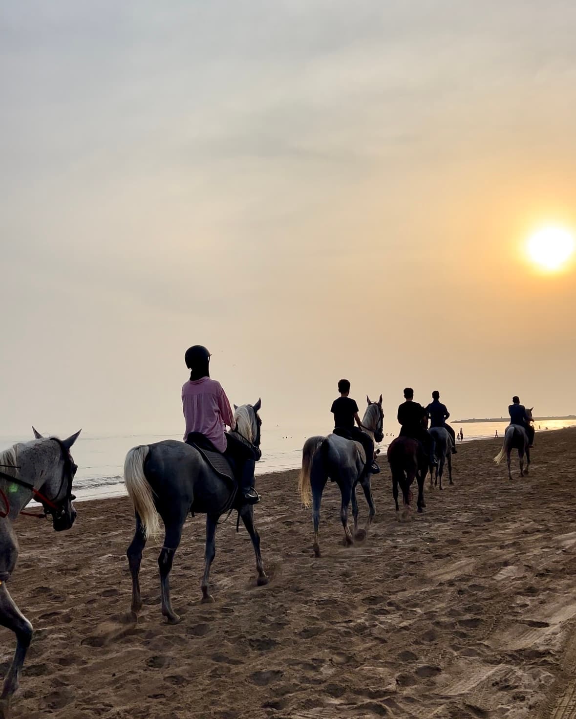 Horse Riding in muscat - 5