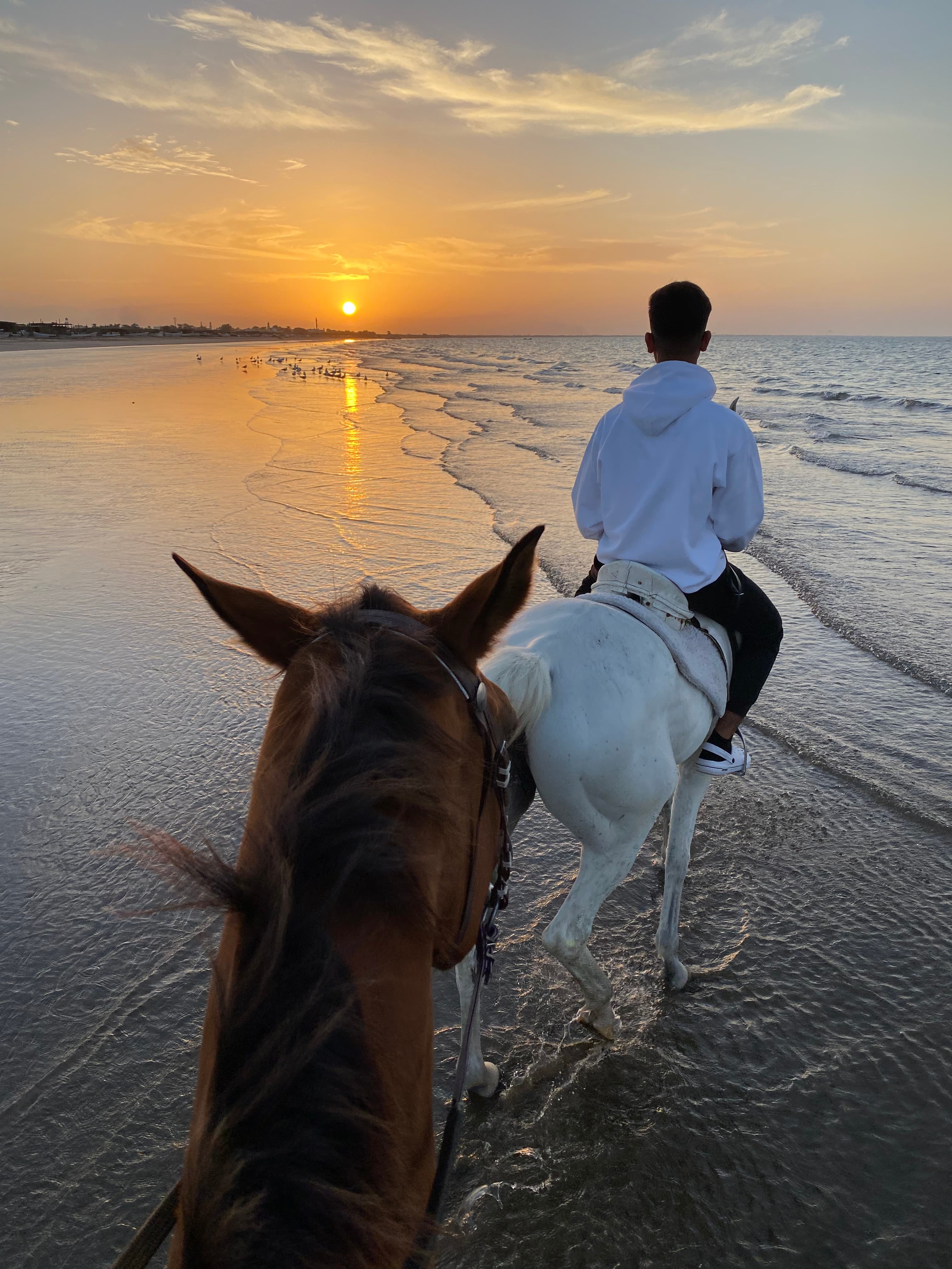 Horse Riding in muscat