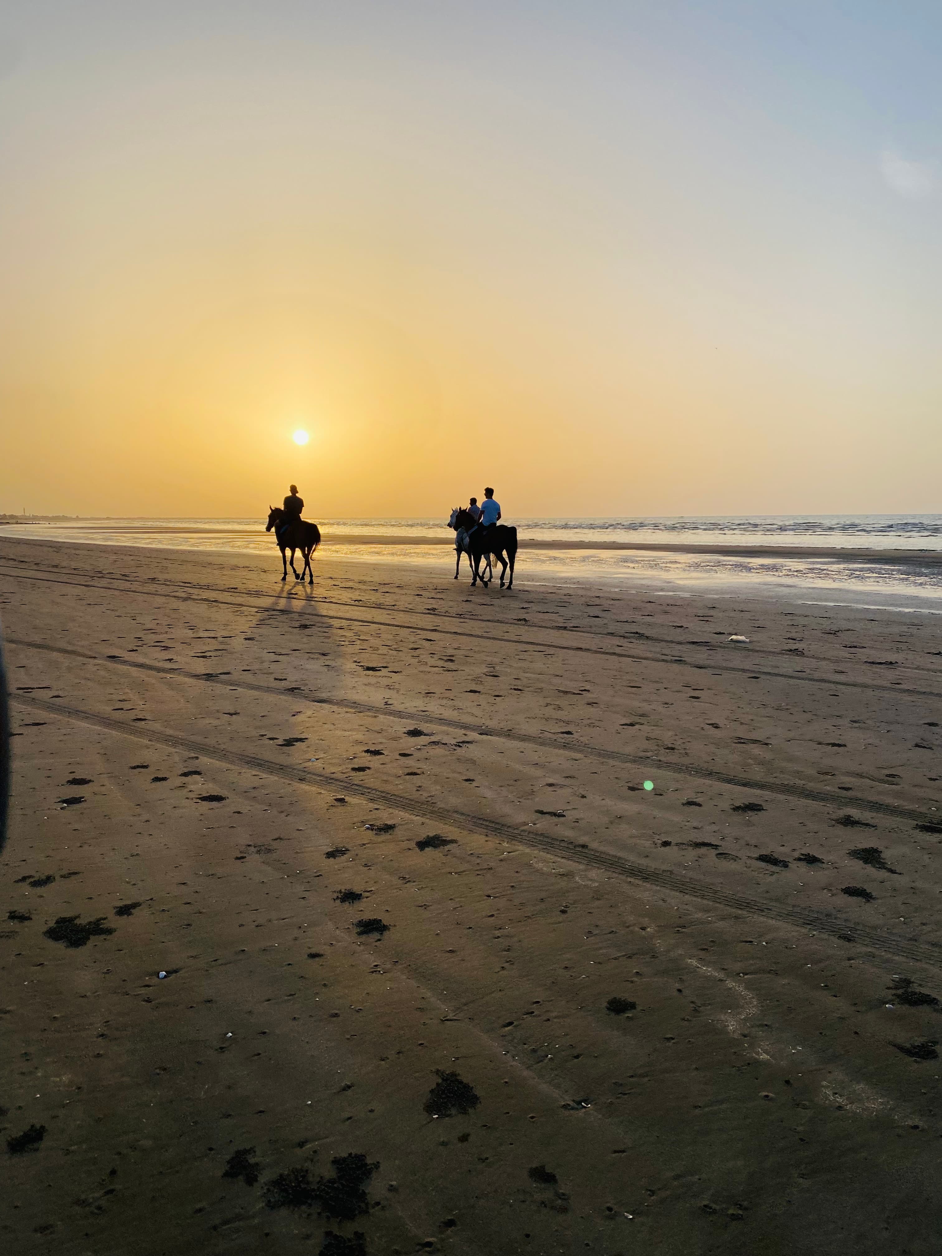 Horse Riding in muscat - 4