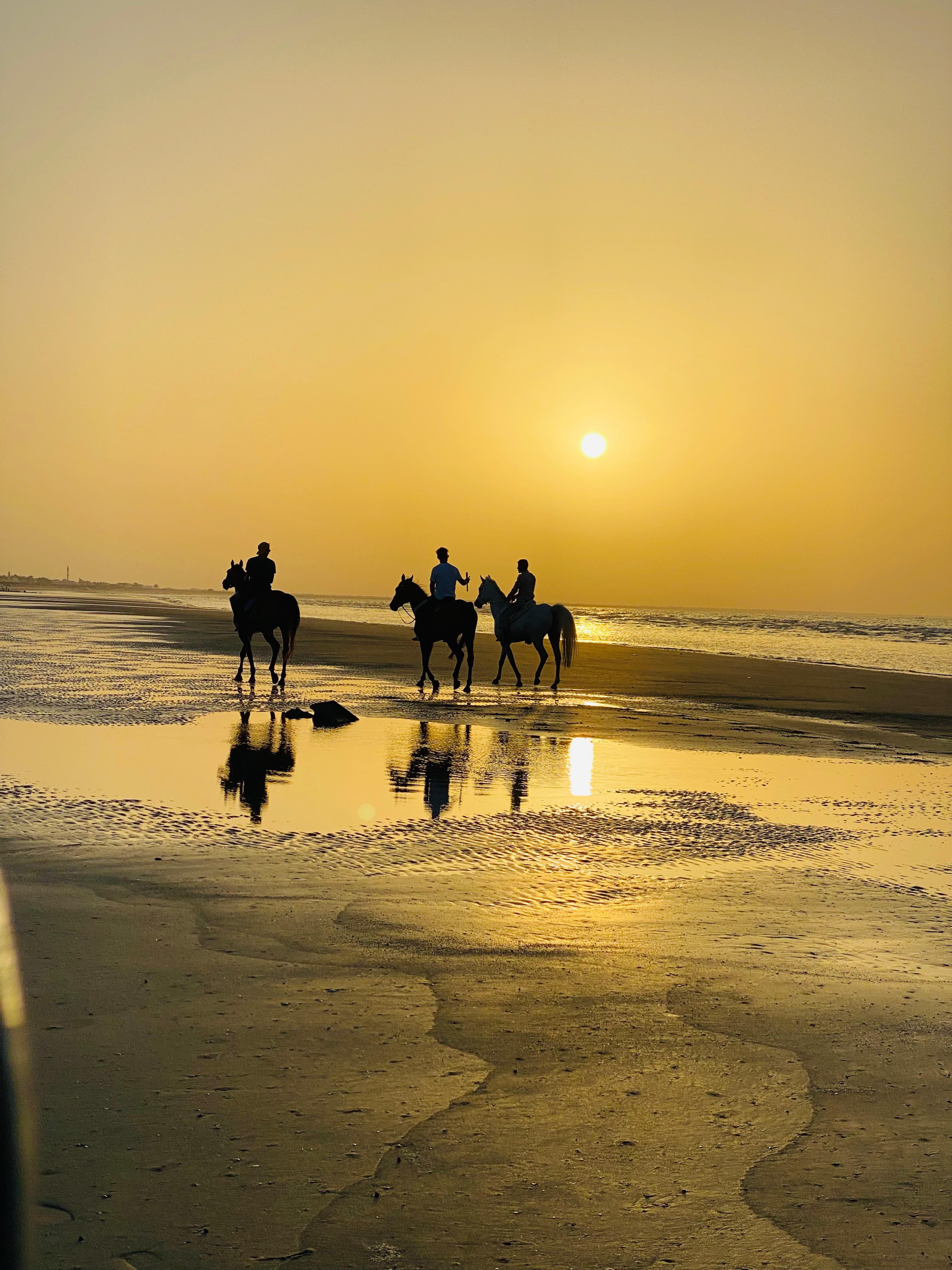 Horse Riding in muscat - 3