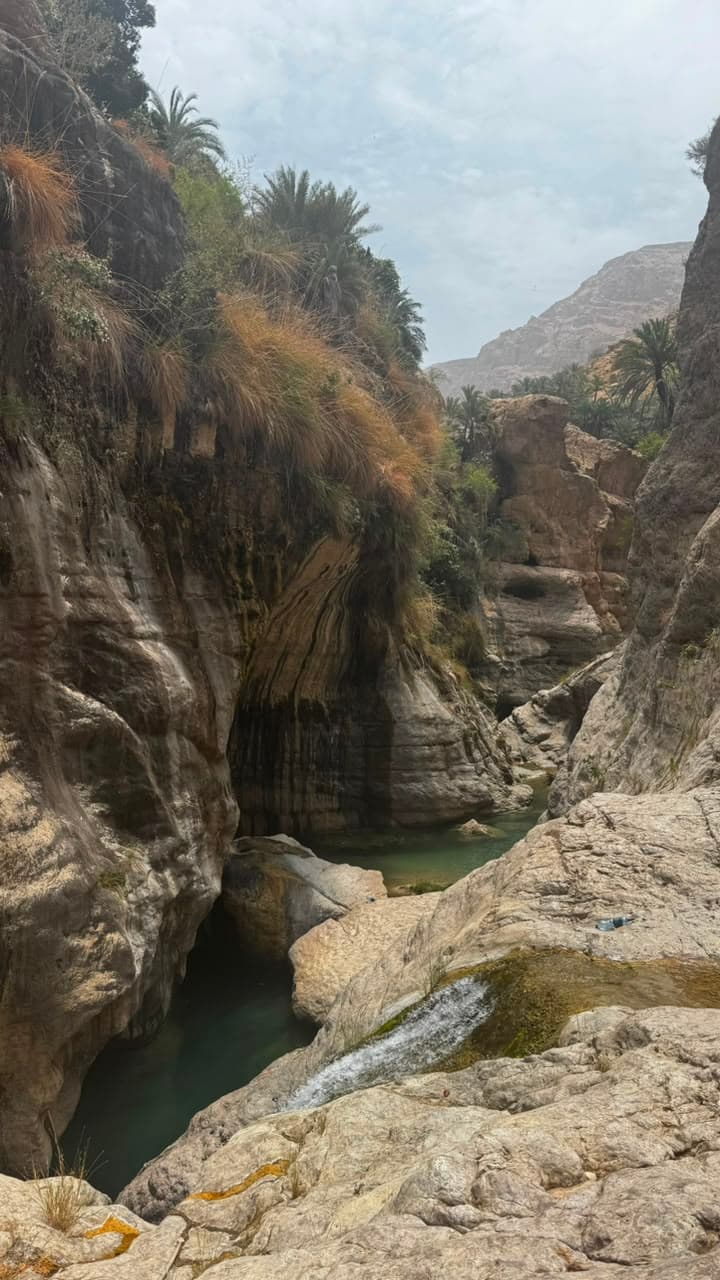 Wadi Mibam woman trip - 4