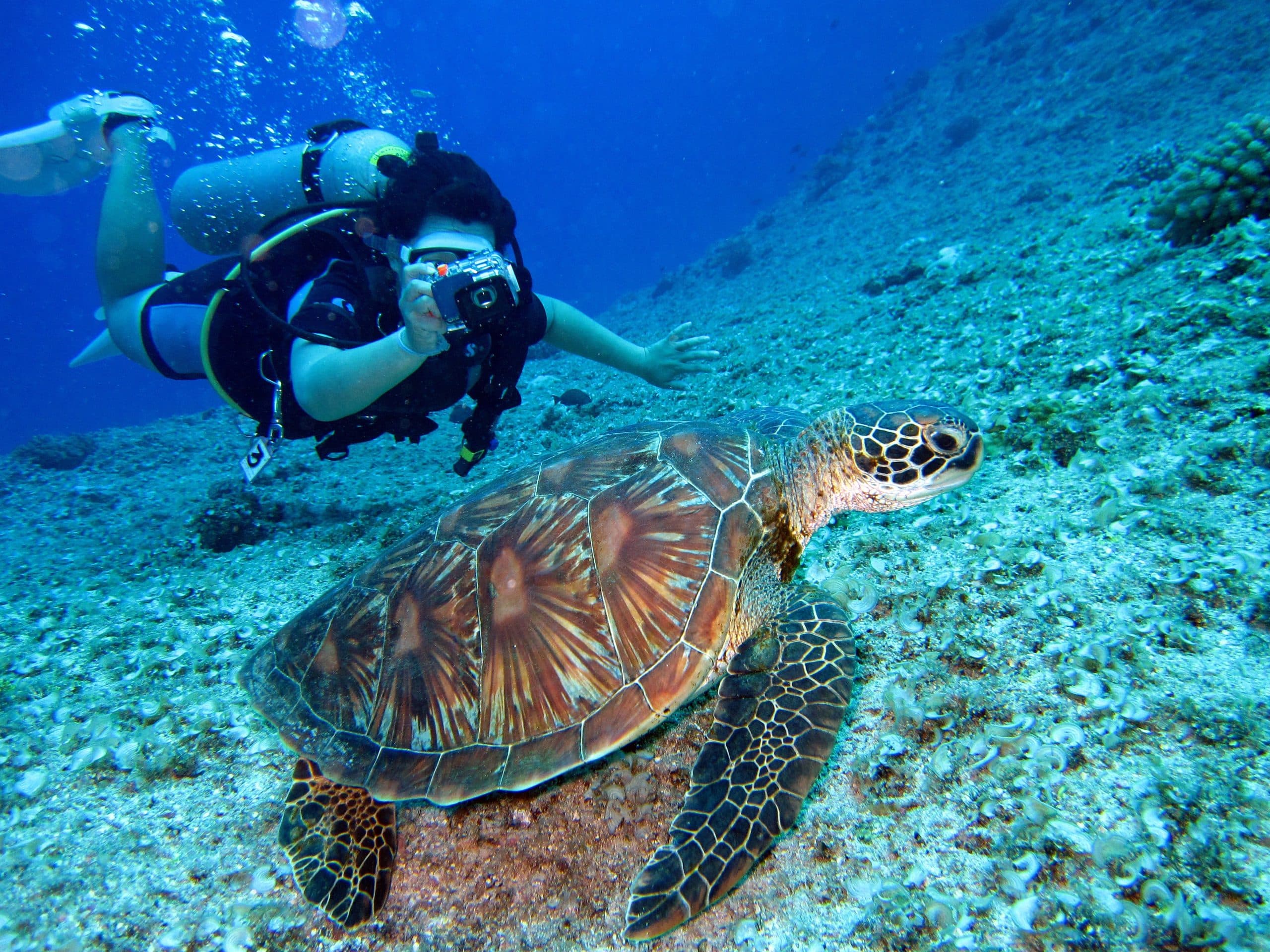 Daymaniyat island - 3