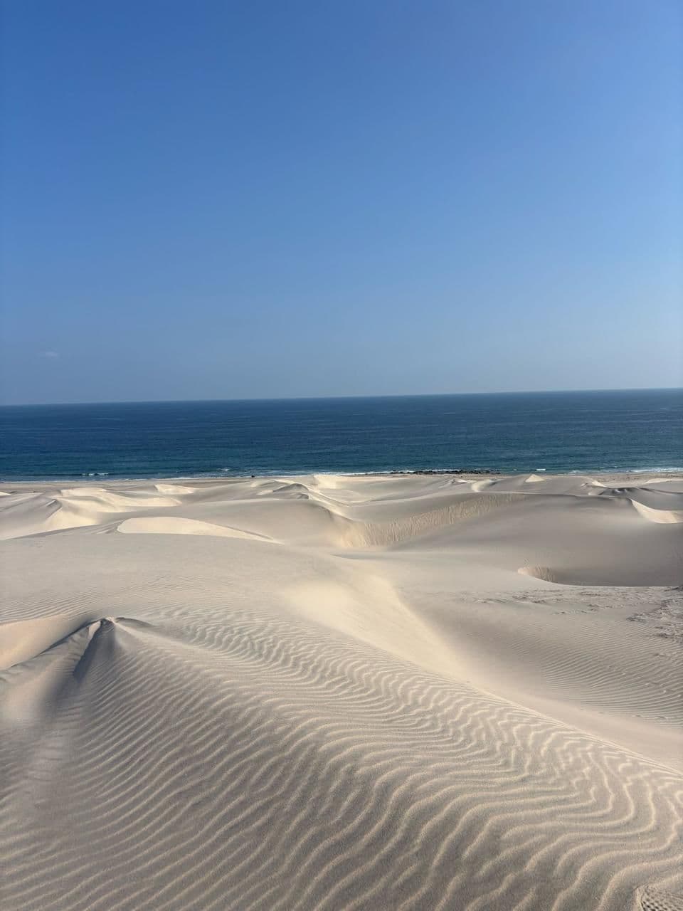 Unleash Your Inner Driver: Jeep Adventure in Salalah's Desert! - 3