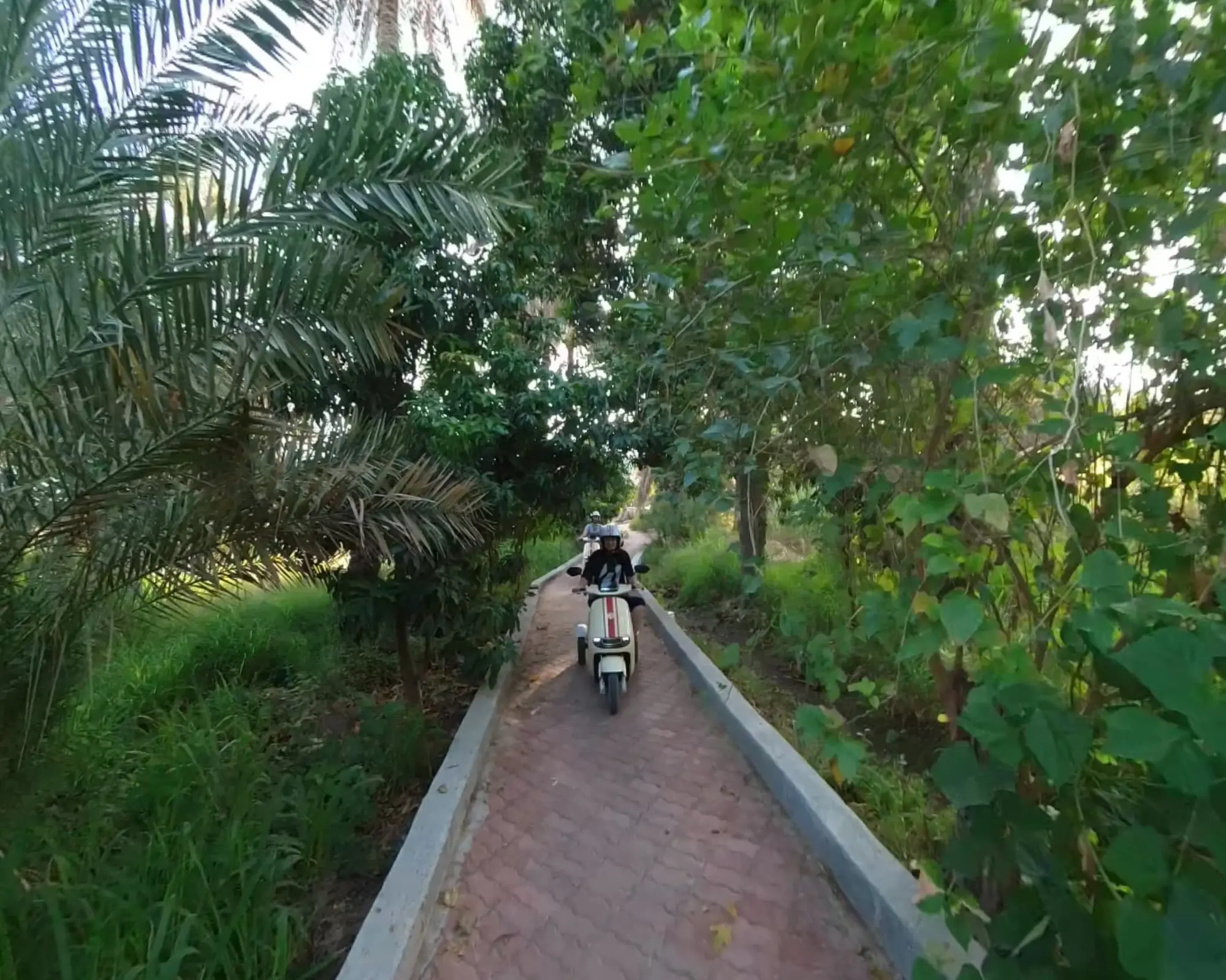E-Bike Tour in Nizwa – Souq, Al Aqr Village & Hidden Farms - 4