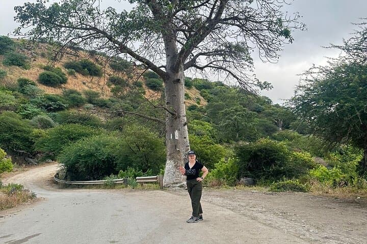 East Salalah Mountain Safari, Wadi Darbat ( Khareef) - 5